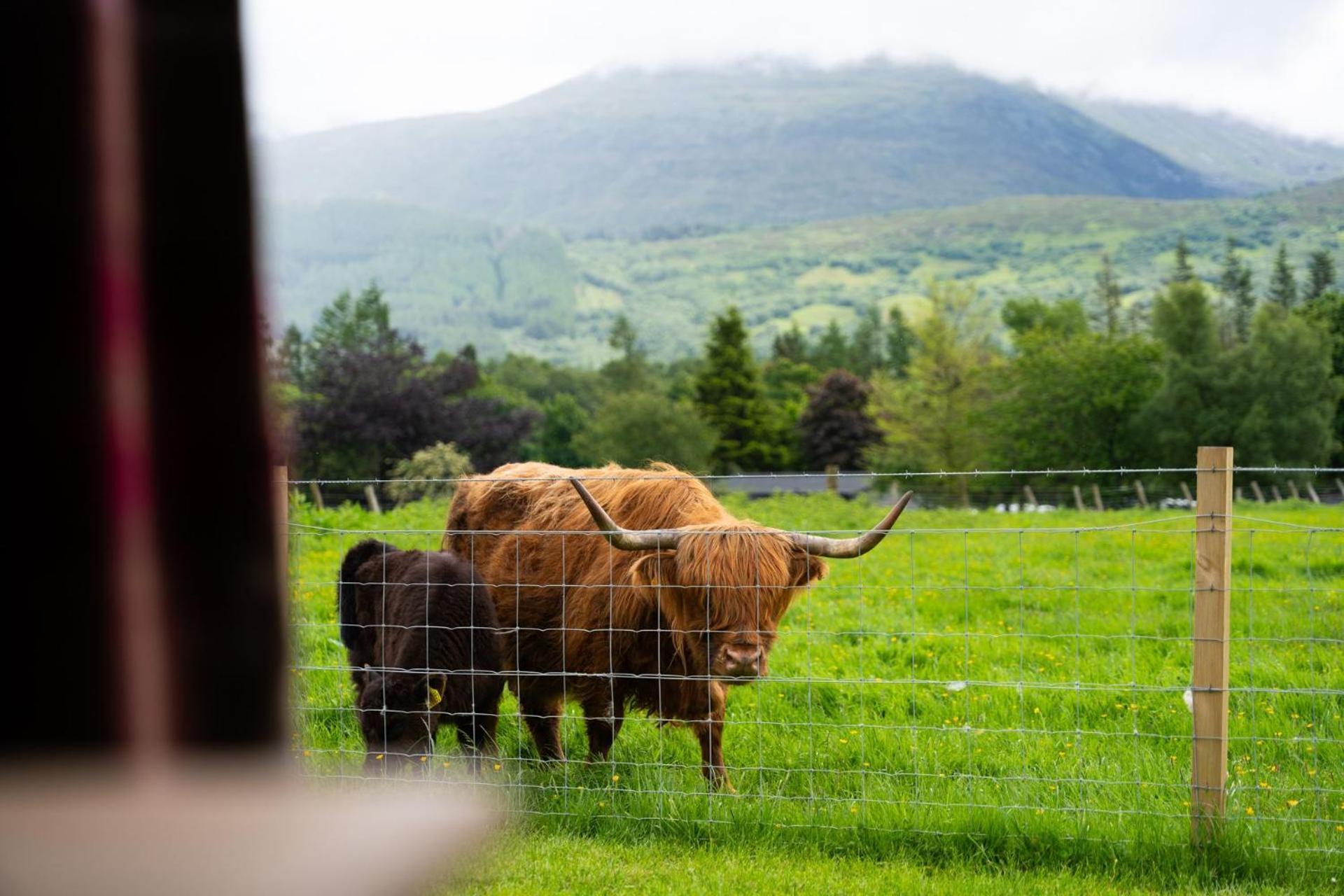 Willa Aonach Mor Pod Fort William Zewnętrze zdjęcie